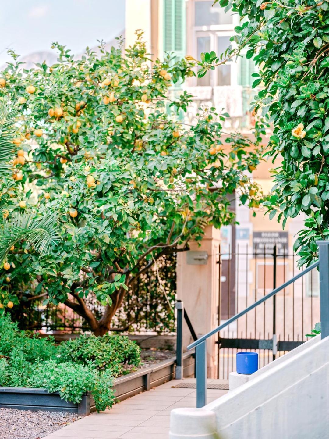 Hotel Lemon Menton Exterior foto